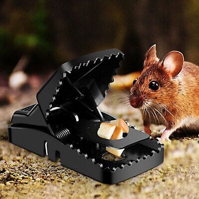 heavy duty reusable plastic mouse trap ? durable & safe mouse catcher for effective rodent control heavy duty reusable plastic mouse trap ? durable & safe mouse catcher for effective rodent control