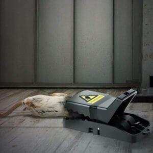 import placeholder for 3752484