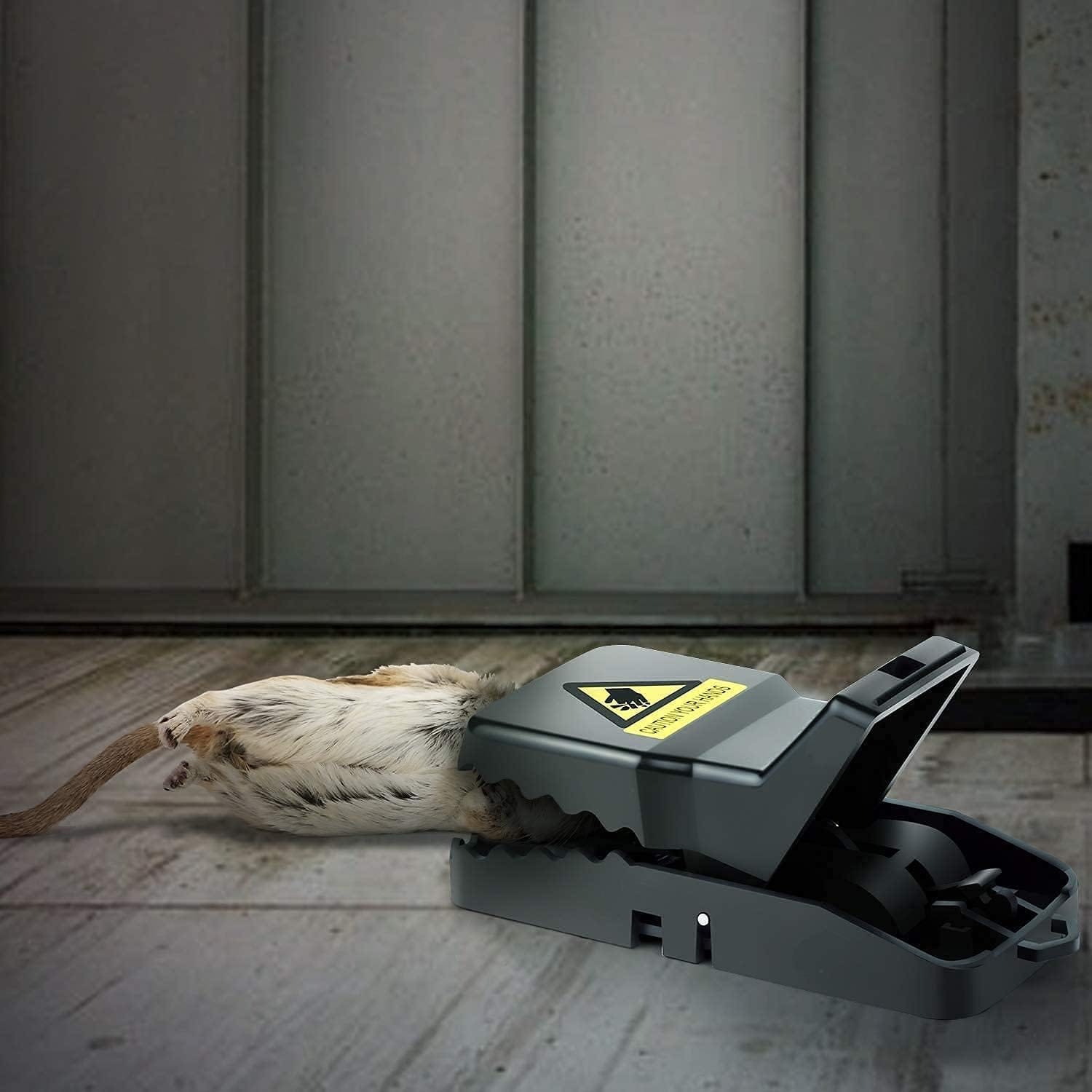 import placeholder for 3752484 import placeholder for 3752484